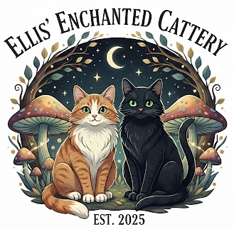 Ellis’ Enchanted Cattery